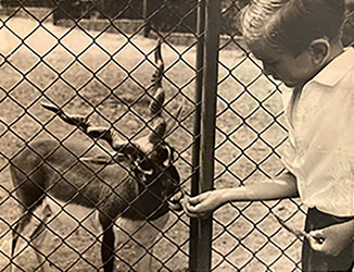 foto di Un giovane Carlo Violani con un maschio di Antilope cervicapra (1958) (foto cortesia Prof. Carlo Violani)